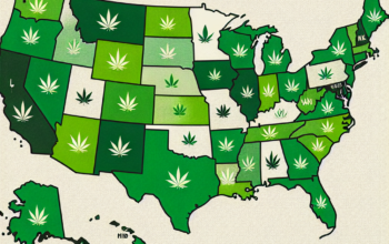 Cannabis Legalization: Recent Legislative Moves Across States